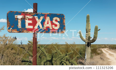Texas road sign at state border, view of vintage rusty signpost on blue sky background, cactus in desert. Concept of travel, nature, welcome, landscape, USA and America 111323206