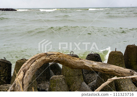 Scenery of the Mogami River estuary 111323716