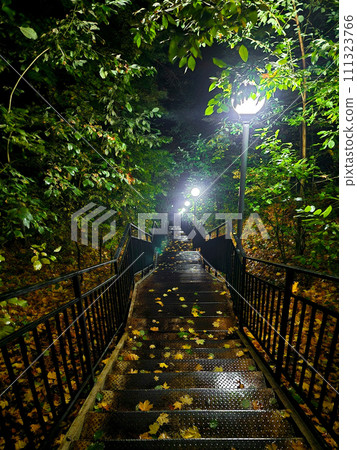 Long metal staircase in a dark forest. Lanterns illuminate the steps at night. Long metal staircase in a dark forest. Lanterns illuminate the steps at night. 111323766