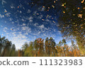 Autumn landscape on the surface of water. Reflected autumn landscape in the water which was being flipped upside down. 111323983