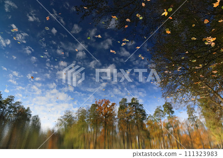 Autumn landscape on the surface of water. Reflected autumn landscape in the water which was being flipped upside down. 111323983