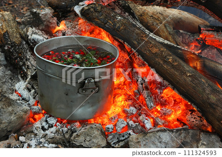 Touristic bowler on burning coals. Cooking hot drinks from the hips and forest berries on the touristic fire. Touristic bowler on burning coals. Cooking hot drinks from the hips and forest berries on the touristic fire. 111324593