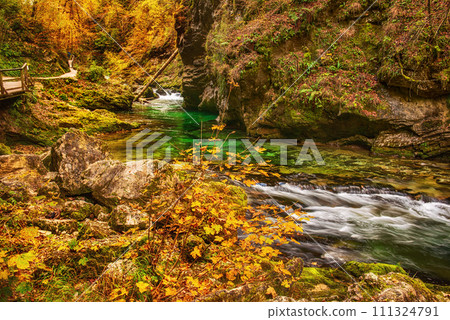 Vintgar gorge, Slovenia Vintgar gorge, Slovenia 111324791