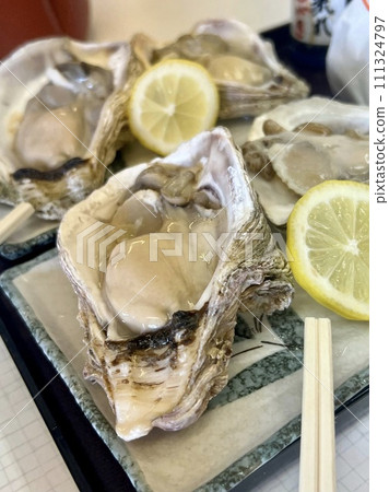 Fresh rock oysters Fresh rock oysters 111324797
