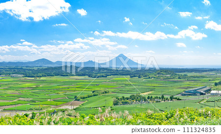 [Mt. Kaimondake and the entire tea plantation from Takatsuka Hill (Cha Bakken Hill)] (High resolution version) Nishimoto, Chiran Town, Minamikyushu City, Kagoshima Prefecture 111324835