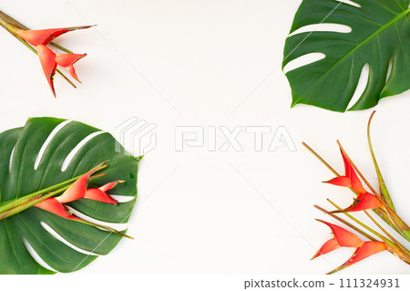 Tropical green leaves 111324931