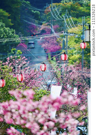 Sakura Festival 111326218
