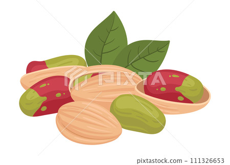 Pistachios handful. Cartoon raw pistachio nuts in shell, organic tasty nuts snack flat vector illustration. Delicious pistachio nuts on white 111326653