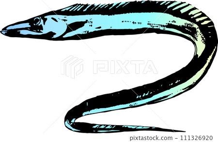 Ink painting of cutlassfish Ink painting of cutlassfish 111326920