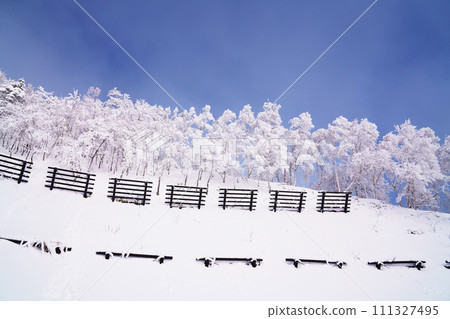 Avalanche prevention, blue skies and frost-covered trees - winter image Avalanche prevention, blue skies and frost-covered trees - winter image 111327495