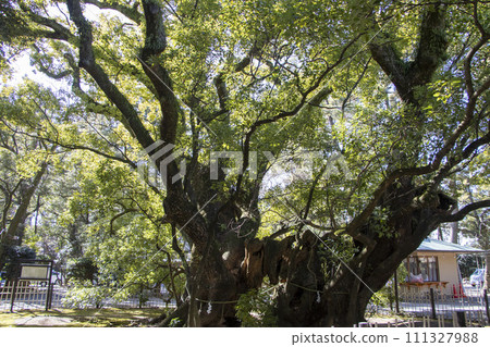 Hamamatsu Hachimangu Shrine Kumodate Soup 111327988