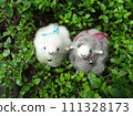sheep walk 111328173