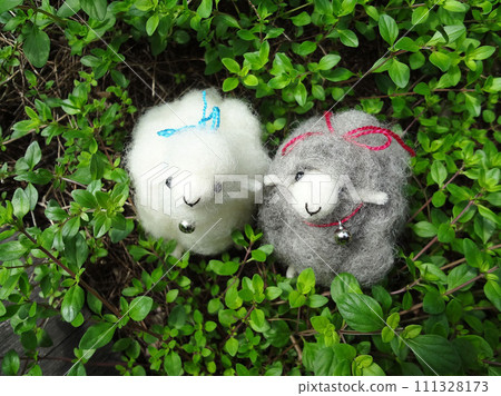 sheep walk 111328173