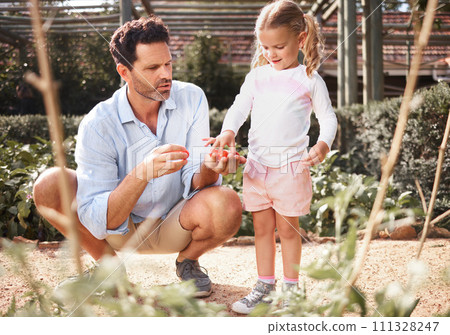 Family, tomato garden or girl with father in learning or child education for food growth, sustainability or environment agriculture. Smile, happy or bonding kid with man farming vegetable for harvest 111328247
