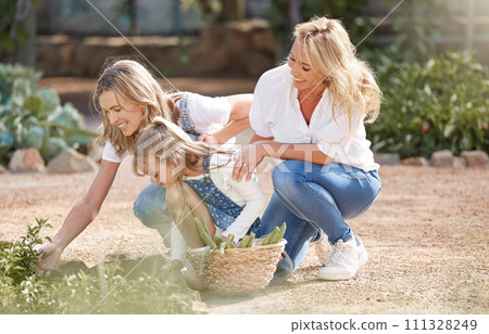 Sustainability, gardening and family in a garden harvest fresh vegetables in nature. Happy grandmother, mom and young girl pick eco friendly, sustainable and green plant food for nutrition together 111328249