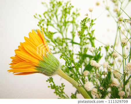 室內綠色花束 111329709