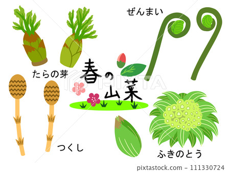 春季野菜4件組（鱈魚芽/春菜/馬尾草/蜂斗菜） 111330724