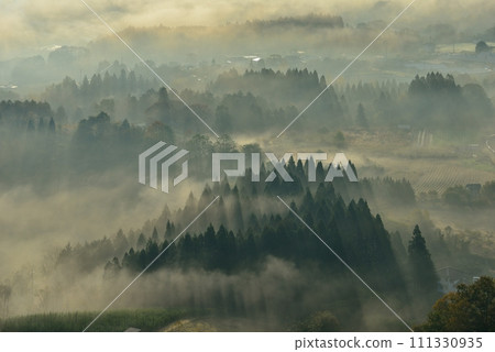 Sea of clouds over Yakuno Plateau from Hozan Park Observation Deck 111330935