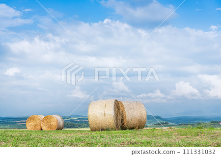 Summer in Hokkaido: northern land and barley rolls (Hokkaido image) Summer in Hokkaido: northern land and barley rolls (Hokkaido image) 111331032