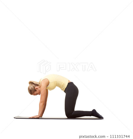 Woman, yoga and cat pose in studio for fitness, body workout or stretching exercise on mockup white background. Profile, healthy lady and bend back for strong core, spine extension or training on mat Woman, yoga and cat pose in studio for fitness, body workout or stretching exercise on mockup white background. Profile, healthy lady and bend back for strong core, spine extension or training on mat 111331744