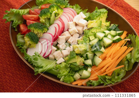 Fresh vegetable salad/salad bowl Fresh vegetable salad/salad bowl 111331865