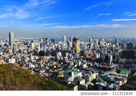 [Hyogo Prefecture] Sunny Kobe seen from Mt. Rokko 111331936