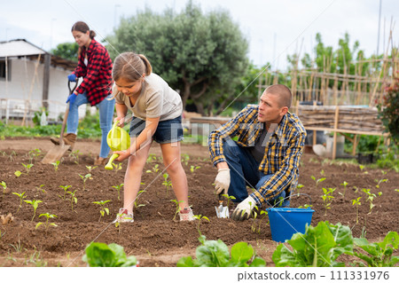 Father and daughter working in garden Father and daughter working in garden 111331976