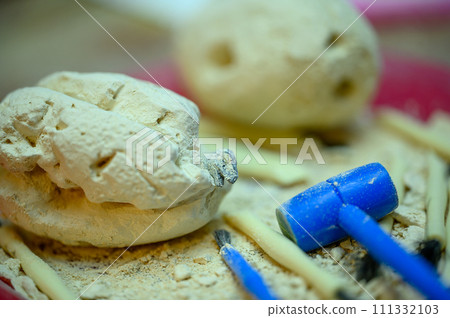 plaster of paris dinosaur eggs with excavation tools for youth fun. 111332103