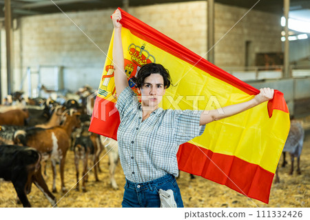 Young Latin female traveler waving Spanish flag inside of livestock goat farmhouse 111332426