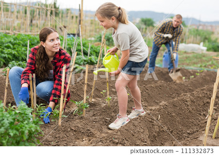 Friendly family working together on backyard garden Friendly family working together on backyard garden 111332873