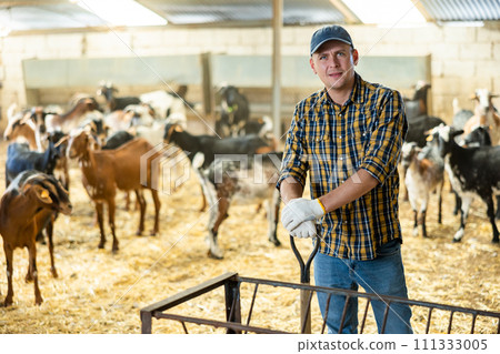 Portrait of confident male farm owner in goat pen Portrait of confident male farm owner in goat pen 111333005