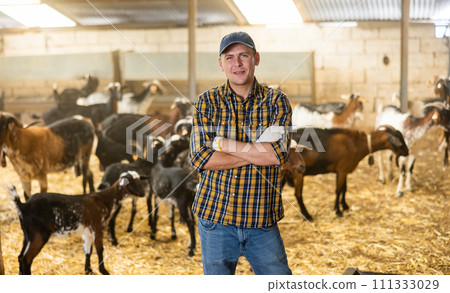 Confident positive farmer breeding dairy goats posing in shed 111333029