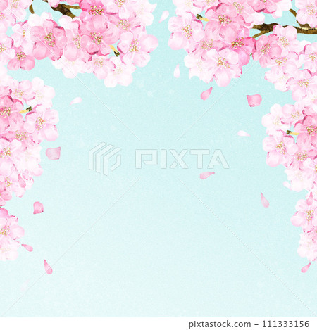 Frame background cherry blossom viewing spring sakura cherry blossoms flowers watercolor hand-painted copy space illustration material 111333156