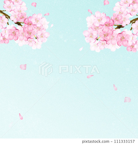 Frame background cherry blossom viewing spring sakura cherry blossoms flowers watercolor hand-painted copy space illustration material 111333157