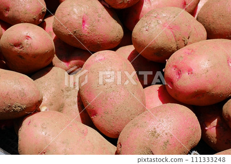 Potato (Red Moon) 20220601 111333248