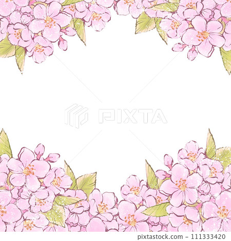 櫻花框背景春天櫻花櫻花水彩手繪線描臨摹空間插畫素材 櫻花框背景春天櫻花櫻花水彩手繪線描臨摹空間插畫素材 111333420