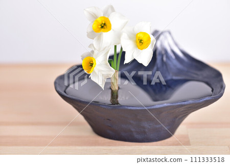 Daffodils have a nice scent Daffodils have a nice scent 111333518
