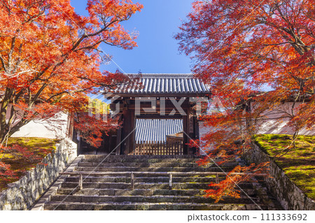Kyoto in autumn, Manshu-in Temple, Chokushimon gate covered in autumn leaves Kyoto in autumn, Manshu-in Temple, Chokushimon gate covered in autumn leaves 111333692