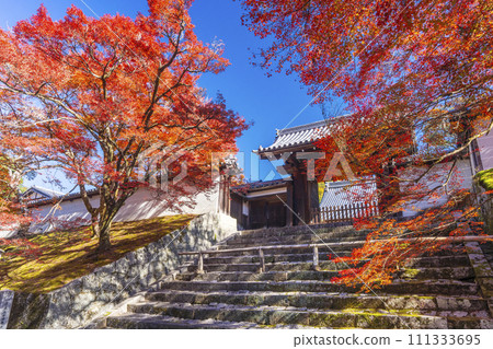 秋天的京都，曼殊院，秋葉覆蓋的直島門 111333695