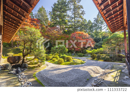 Kyoto in autumn, Manshuin, autumn leaves and dry landscape garden Kyoto in autumn, Manshuin, autumn leaves and dry landscape garden 111333722