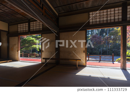 Autumn Kyoto, Manshu-in, Karesansui garden seen from Shoin 111333729
