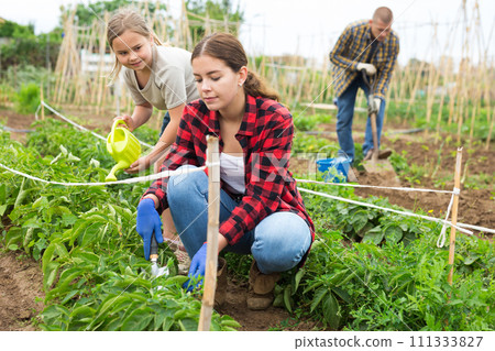 Friendly family working together on backyard garden Friendly family working together on backyard garden 111333827