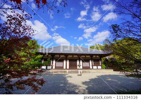 Akishinoji temple main hall in autumn, a temple in Nara Akishinoji temple main hall in autumn, a temple in Nara 111334316