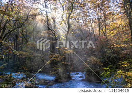 Aomori Oirase Stream Light 06 111334916