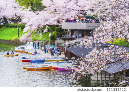 春天的千鳥淵 - 櫻花盛開的船碼頭風景[東京都千代田區] 111335212