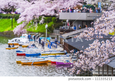 春天的千鳥淵 - 櫻花盛開的船碼頭風景[東京都千代田區] 111335213