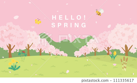 Spring scenery of cherry blossom trees (Full HD 16:9 size) 111335617