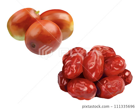 Jujube (fresh and dried) Jujube (fresh and dried) 111335696