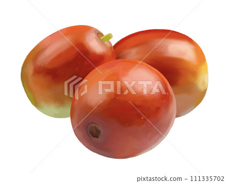 Jujube (fresh fruit) 111335702