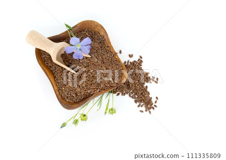 Flax (linseed) flower and seeds over white background 111335809